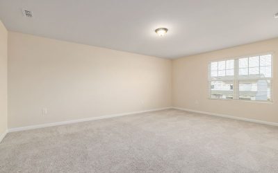 Soft, Stylish, and Soundproof: Carpet Trends Garner Homeowners Love