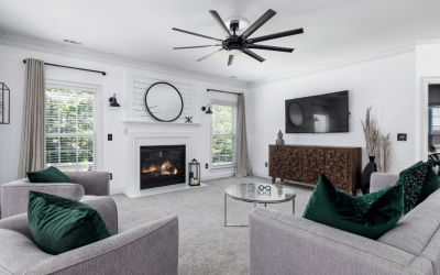 From Bare to Plush: Top Carpet Styles for Raleigh Living Rooms